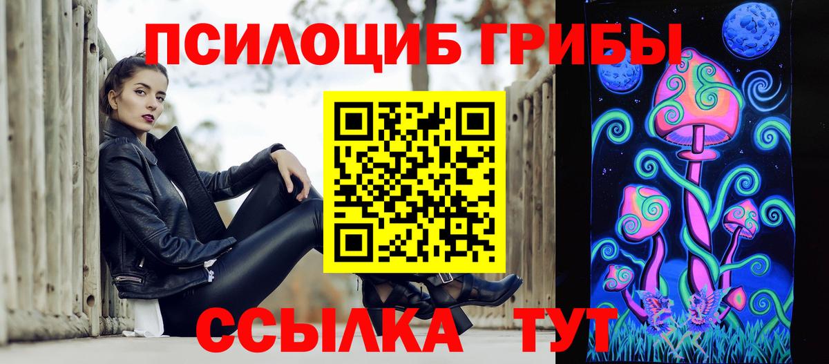 Псилоцибиновые грибы Cubensis Геленджик