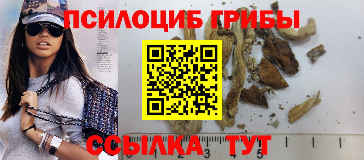 купить наркотики цена  Галлюциногенные грибы прущие грибы  Вход с VPN  Геленджик 
